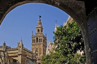  Blick auf die Giralda 